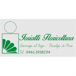 Floricoltura Ioriatti, Baselga di Pinè orari di apertura