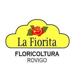 Floricoltura La Fiorita, Rovigo orari di apertura