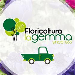 Floricoltura La Gemma Di Pollastri Bruno, Cernusco sul Naviglio orari di apertura