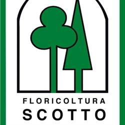 Floricoltura Scotto, Albisola Superiore orari di apertura