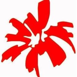 Floricoltura Stella Di Palmisano Martino E Fornasin Emanuela, Udine orari di apertura