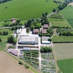 Florsilva Ansaloni SRL, San Lazzaro di Savena orari di apertura
