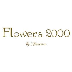 Flowers 2000 By Francesca, Santeramo in Colle orari di apertura