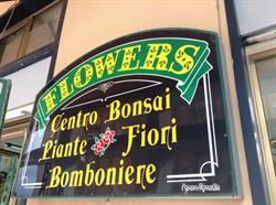 Flowers Di Balilla Patrizia, Caltanissetta orari di apertura