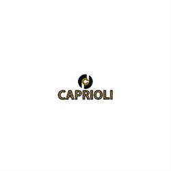 Caprioli Fonderia, Fagnano Olona orari di apertura