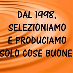 Food Light & Meditation Snc, Bordighera orari di apertura