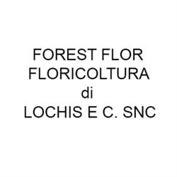 Forest Flor Floricoltura, Foresto Sparso orari di apertura