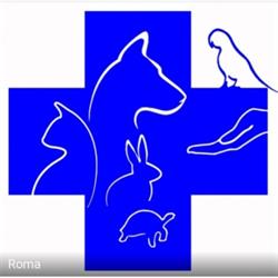 Veterinaria Caffarella, Roma orari di apertura