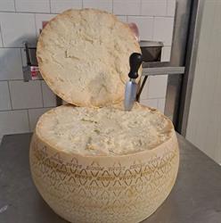 Formaggi Paris Di Paris M. & C. S.n.c., Villongo orari di apertura