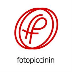 Foto Cine Piccinin, Udine orari di apertura
