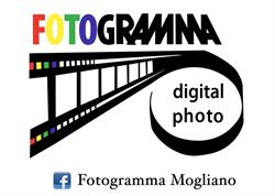 Fotogramma (S.n.c.), Mogliano Veneto orari di apertura