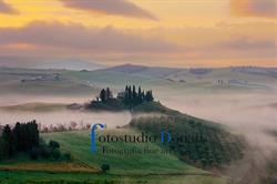 Fotostudio Donati Snc, Siena orari di apertura