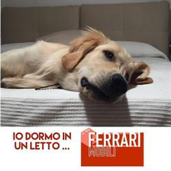 Fratelli Ferrari & C., Castelnuovo di Garfagnana orari di apertura
