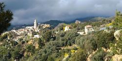 Frediani Valter Sanremo, Bussana - Orari di apertura