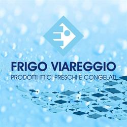 Frigo Viareggio SRL, Massarosa orari di apertura