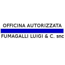 Officina Fumagalli Luigi e C. snc, Gorla Minore orari di apertura