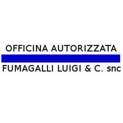 Officina Fumagalli Luigi e C. snc, Gorla Minore orari di apertura