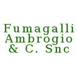 Fumagalli Ambrogio & C., Triuggio orari di apertura
