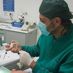 Studio Dentistico Fussi dr. Franco, Faenza orari di apertura