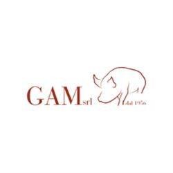 Gam - Prosciuttificio Salumificio, Montefiascone orari di apertura
