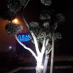 G.b.m. (Srl), Novi di Modena orari di apertura