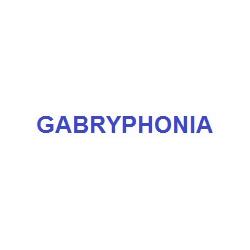 Gabryphonia, San Casciano in Val di Pesa orari di apertura