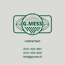G. Mess Impresa di Pulizie e Disinfestazioni, San Miniato orari di apertura