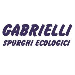 Gabrielli Spurghi Ecologici, Mariano Comense orari di apertura