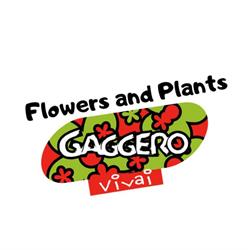 Gaggero Vivai S.S., Carasco orari di apertura