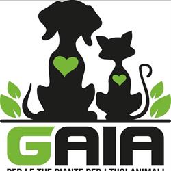 Gaia Guglielmo, San Giovanni in Marignano orari di apertura