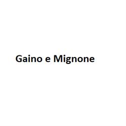 Gaino e Mignone, Acqui Terme orari di apertura