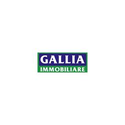Affari Gallia Immobiliare, Asiago orari di apertura
