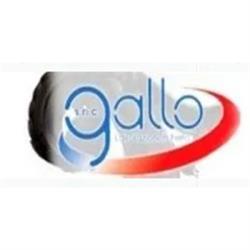 Gallo Snc di Gallo Rodolfo & Geom. Stefano, Borgoricco orari di apertura