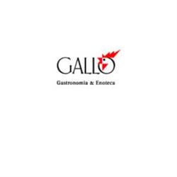 Gallo Giulio & Figli, Torino orari di apertura