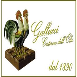 Gallucci Cisterna dell'Olio, Napoli orari di apertura