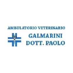 Ambulatorio Veterinario Galmarini Dr. Paolo, Somma Lombardo orari di apertura