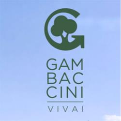 Gambaccini Vivai Piante, San Lorenzo in Campo orari di apertura