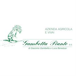 Gambetta Piante Vivai, Pietra Ligure orari di apertura