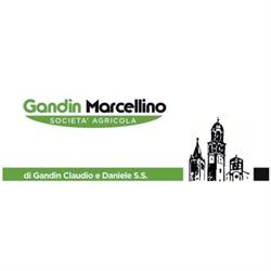 Gandin Marcellino Ristoro Agrituristico, San Pier d'Isonzo orari di apertura