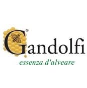 Gandolfi SRL Societa' Unipersonale, Ponte San Pietro orari di apertura