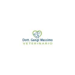 Veterinario Gangi Dr. Massimo, Besnate orari di apertura