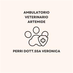 Ambulatorio Veterinario Artemide Perri Dott.ssa Veronica, Modena orari di apertura