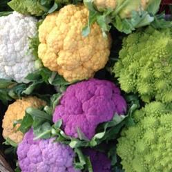 Gastronomia Cuoco Mio Di Di Paola M., Laigueglia orari di apertura