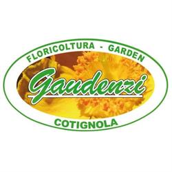 Floricoltura Gaudenzi - Vivaio / Manutenzione giardini, Cotignola orari di apertura