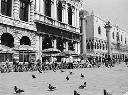 Gelateria Al Todaro, Venezia orari di apertura