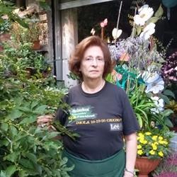 Gemma Fiori Di Giordano Mariateresa Valdilana, Trivero - Orari di apertura