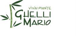 Ghelli Mario, Pistoia orari di apertura
