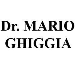 Ghiggia Dr. Mario, Torino orari di apertura