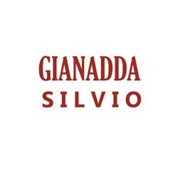 Gianadda Silvio, Pinerolo orari di apertura