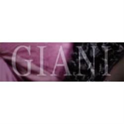 Giani Srl, Empoli orari di apertura